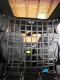 Siatka oddzielająca Transporter Mercedes Vito W447 podłogę ładunkową Pionowa 25mm