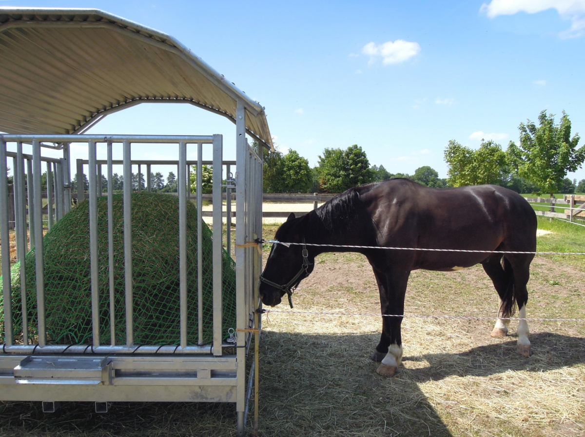 Rete Per Fieno Cavalli, Rete Fieno Cavalli Maglia Larga 12,5